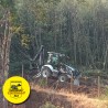 Haciendo Caminos
